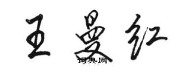 駱恆光王曼紅行書個性簽名怎么寫