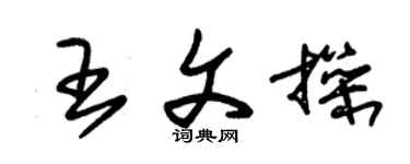 朱錫榮王文操草書個性簽名怎么寫