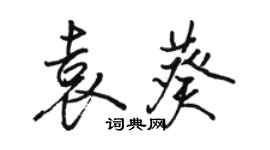 駱恆光袁葵行書個性簽名怎么寫