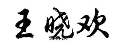 胡問遂王曉歡行書個性簽名怎么寫