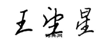 王正良王望星行書個性簽名怎么寫