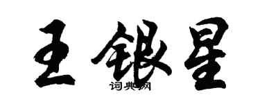 胡問遂王銀星行書個性簽名怎么寫