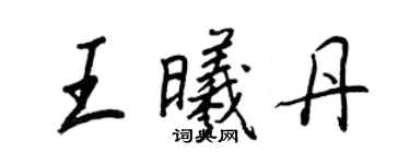 王正良王曦丹行書個性簽名怎么寫