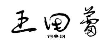 曾慶福王田蕾草書個性簽名怎么寫