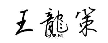 王正良王龍策行書個性簽名怎么寫