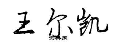 曾慶福王爾凱行書個性簽名怎么寫
