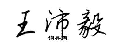 王正良王沛毅行書個性簽名怎么寫