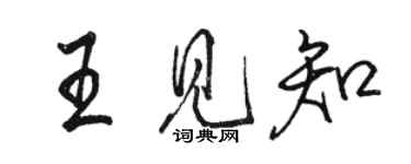 駱恆光王見知行書個性簽名怎么寫