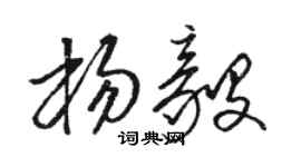 駱恆光楊毅草書個性簽名怎么寫