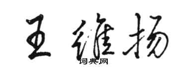 駱恆光王維揚行書個性簽名怎么寫