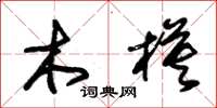 朱錫榮木模草書怎么寫