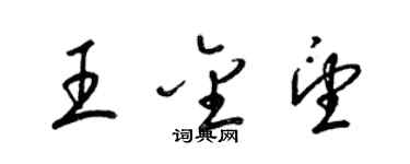 梁錦英王金望草書個性簽名怎么寫