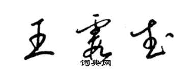 梁錦英王霞武草書個性簽名怎么寫