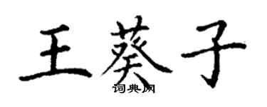 丁謙王葵子楷書個性簽名怎么寫