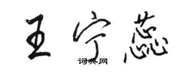 駱恆光王寧蕊行書個性簽名怎么寫