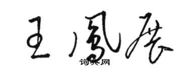 駱恆光王鳳展草書個性簽名怎么寫