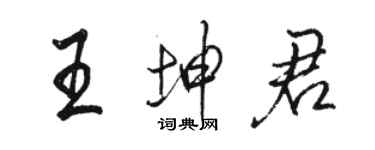 駱恆光王坤君行書個性簽名怎么寫