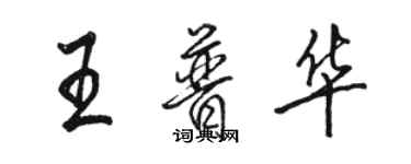 駱恆光王普華行書個性簽名怎么寫