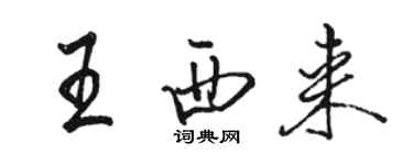 駱恆光王西來行書個性簽名怎么寫