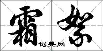 胡問遂霜絮行書怎么寫