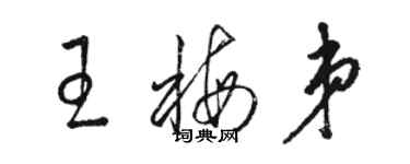 駱恆光王梅弟草書個性簽名怎么寫