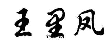 胡問遂王里鳳行書個性簽名怎么寫