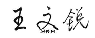 駱恆光王文銳行書個性簽名怎么寫