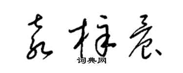 梁錦英袁梓晨草書個性簽名怎么寫