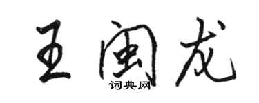 駱恆光王閩龍行書個性簽名怎么寫