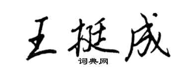 王正良王挺成行書個性簽名怎么寫