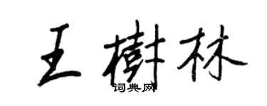 王正良王樹林行書個性簽名怎么寫