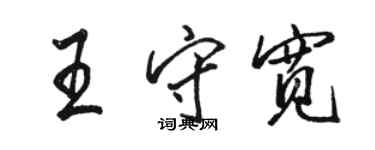 駱恆光王守寬行書個性簽名怎么寫