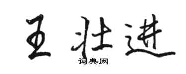 駱恆光王壯進行書個性簽名怎么寫