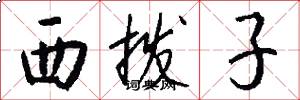 西撥子怎么寫好看