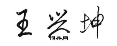 駱恆光王興坤行書個性簽名怎么寫