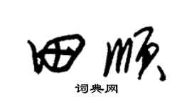 朱錫榮田順草書個性簽名怎么寫