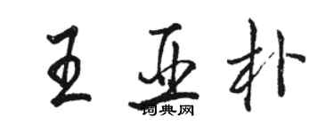 駱恆光王亞朴行書個性簽名怎么寫