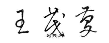 駱恆光王茂慶草書個性簽名怎么寫