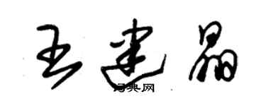 朱錫榮王建晶草書個性簽名怎么寫