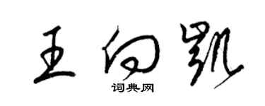 梁錦英王向凱草書個性簽名怎么寫