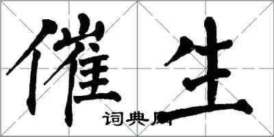 翁闓運催生楷書怎么寫