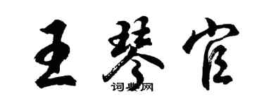 胡問遂王琴官行書個性簽名怎么寫