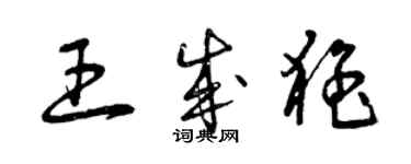 曾慶福王成猛草書個性簽名怎么寫