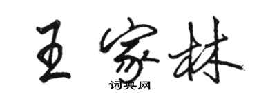 駱恆光王家林行書個性簽名怎么寫