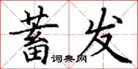 丁謙蓄髮楷書怎么寫