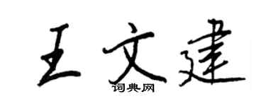 王正良王文建行書個性簽名怎么寫