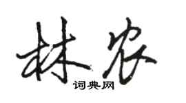 駱恆光林農行書個性簽名怎么寫