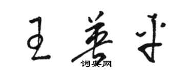 駱恆光王英平草書個性簽名怎么寫