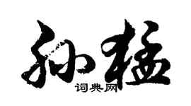 胡問遂孫猛行書個性簽名怎么寫