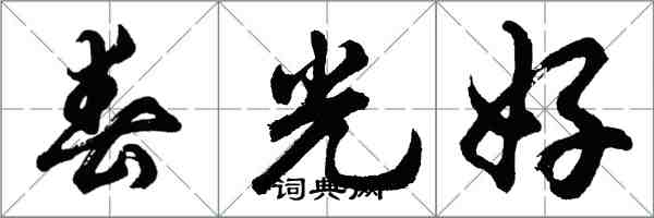 胡問遂春光好行書怎么寫